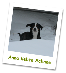 Anna liebte Schnee